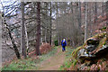 Path below Cave Craig, Dunkeld