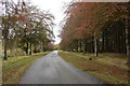 NJ7508 : Dunecht estate autumn walk by Bill Harrison