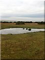 Small pool on Lynch Common