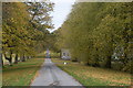 Autumn walkers, Dunecht estate