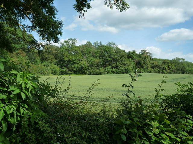 Castle Frome Castle © Fabian Musto :: Geograph Britain and Ireland