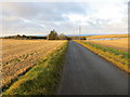 Minor road approaching Wester Darshill