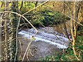 Weir on Bettws Brook