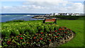 Flower border & view towards harbour at Portballintrae