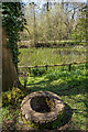 Pond, Mansion Gardens