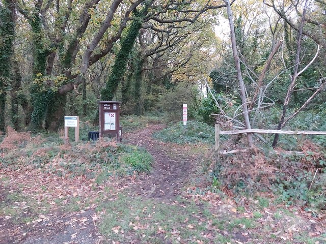 Gilham Wood SWT Reserve in East Sussex