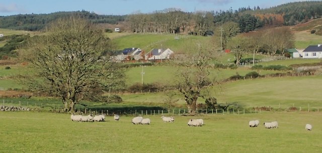 Mourne Blackface Sheep on valley... © Eric Jones :: Geograph Ireland