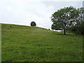 Hillside grazing near Lower Woodford