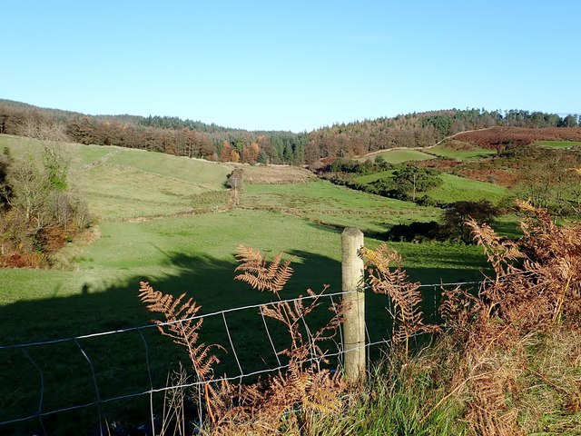 Grazing land between the Mountain Road and Drumkeeragh Forest