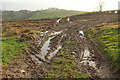 Arable field near Avonwick