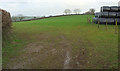 Field near Diptford Green