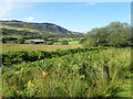 SH8427 : View across the valley to Moel Caws by Eirian Evans