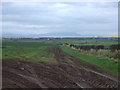 NY0941 : Farm track and hedgerow west of Hayton by JThomas