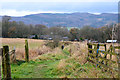 Path to Pitlochry