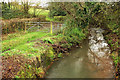 Winford Brook from Port Bridge