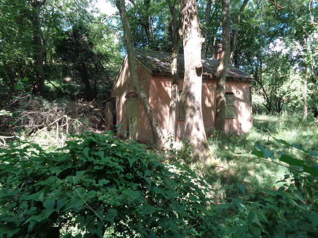 Building in a wood, Holly Bush Lane