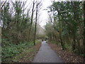 National Cycle Route 72 towards Whitehaven