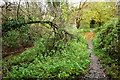 Two Rivers Way by Chew Stoke Brook