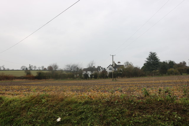Field by Dodds Lane, Piccotts End