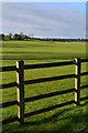 Fence and grass, roadside near Netherhampton