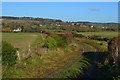 Bend in the track towards Bulbridge Farm