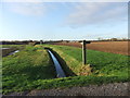 TA2206 : Footpath by the drain near Laceby by David Brown