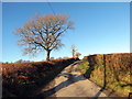 Tuag at Frynteg / Towards Brynteg