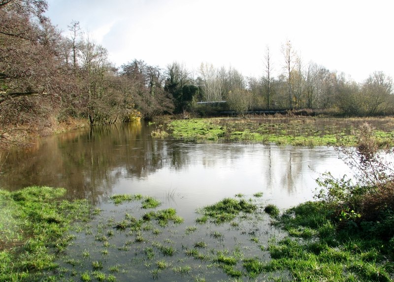 High water in the River Yare by Harford... © Evelyn Simak cc-by-sa/2.0 ...