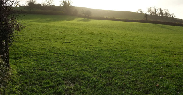 Hillside field near Charford