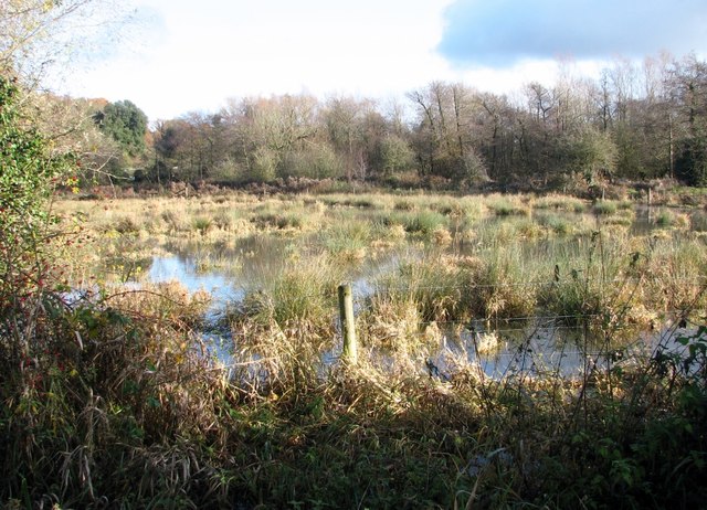 Flooded pastures on Marston Marsh