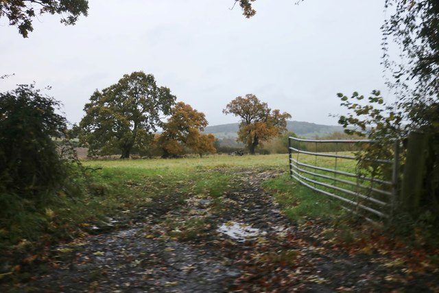 Field by Corndean Way, Winchcombe