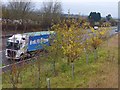 A splash of late Autumn colour beside the busy A453