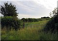 Footpath towards Costock