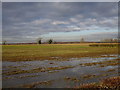SK8757 : Waterlogged field off Clay Lane, Stapleford by Jonathan Thacker