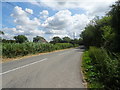 Wick Road towards Lympsham