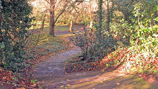 Steps to Cox's Mount: Maryon Park