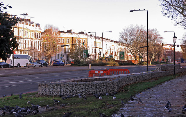 Cromwell Road with pigeons