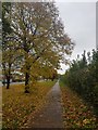 Path along Hull Road