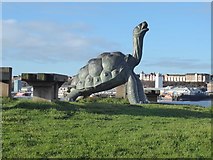 NZ3668 : Tortoise triumphant by Oliver Dixon