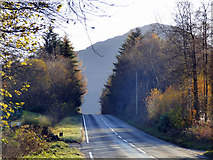NS1493 : The A815 road at Loch Eck by Thomas Nugent
