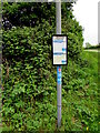 SY1589 : X52 bus stop information, Dunscombe Lane, Trow, Devon by Jaggery