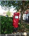 Elizabeth II postbox on Market Street, Highbridge