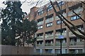 Flats on Brownswood Road, Stoke Newington