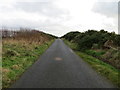 Hedge-lined minor road at Sand Brae