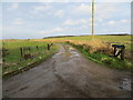 Track leading to Milltown of Cairnbulg