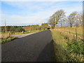 Road at the entrance to Gonar Farm