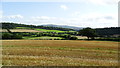 View SE from Shropshire Way towards Lower Stanway & Stanway Coppice