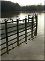 SK6465 : Rufford Abbey Country Park – Rufford Lake by Alan Murray-Rust