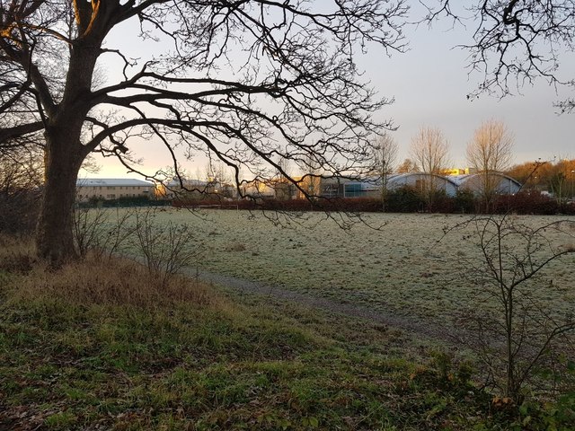 Frosty playing fields