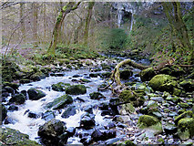 SD6973 : River Twiss at Swilla Glen by David Dixon
